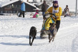 Lenk 2012 SM